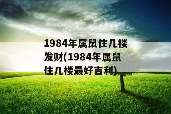 1984年属鼠住几楼发财(1984年属鼠住几楼最好吉利)