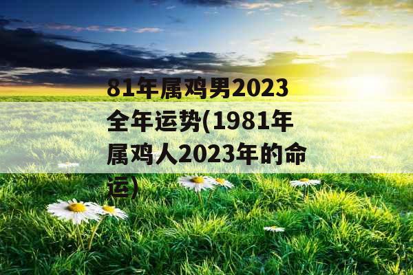 81年属鸡男2023全年运势(1981年属鸡人2023年的命运)