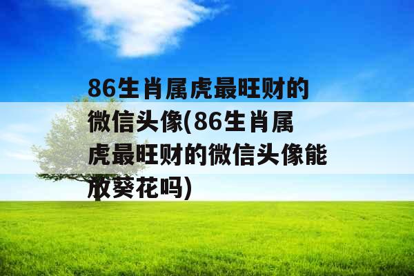 86生肖属虎最旺财的微信头像(86生肖属虎最旺财的微信头像能放葵花吗)
