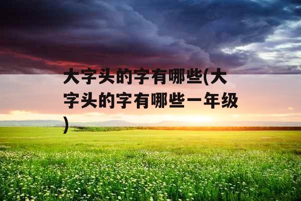 大字头的字有哪些(大字头的字有哪些一年级)