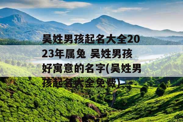 吴姓男孩起名大全2023年属兔 吴姓男孩好寓意的名字(吴姓男孩起名大全免费)