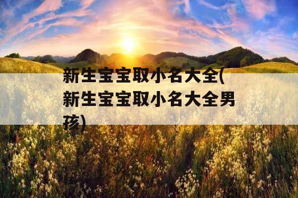 新生宝宝取小名大全(新生宝宝取小名大全男孩) 新生宝宝取小名大全(新生宝宝取小名大全男孩)