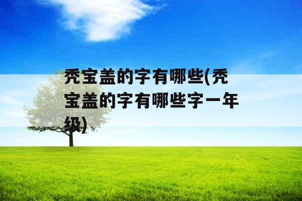 秃宝盖的字有哪些(秃宝盖的字有哪些字一年级)