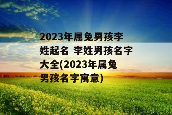 2023年属兔男孩李姓起名 李姓男孩名字大全(2023年属兔男孩名字寓意)