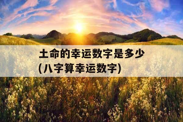 土命的幸运数字是多少(八字算幸运数字)