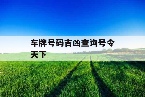 车牌号码吉凶查询号令天下