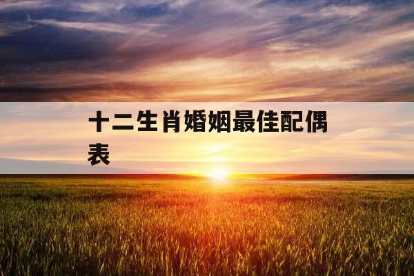 十二生肖婚姻最佳配偶表