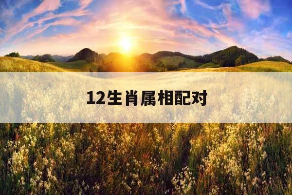12生肖属相配对