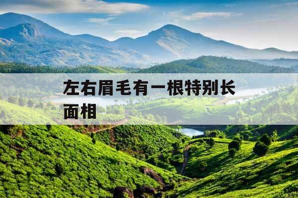 左右眉毛有一根特别长面相