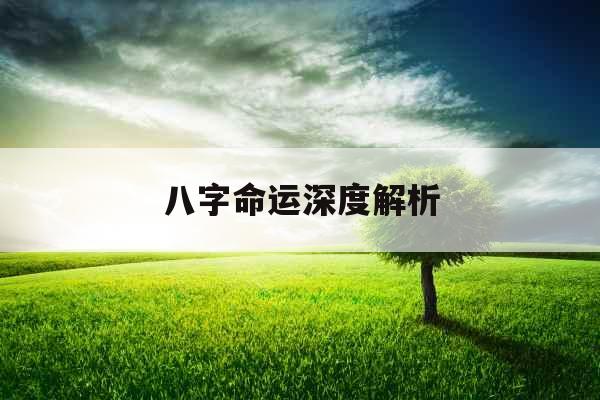 八字命运深度解析 八字命运深度解析