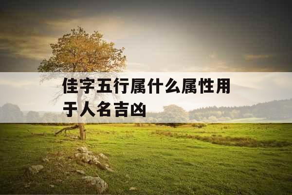 佳字五行属什么属性用于人名吉凶 佳字五行属什么属性用于人名吉凶