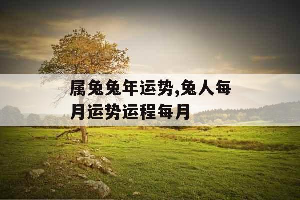 属兔兔年运势,兔人每月运势运程每月