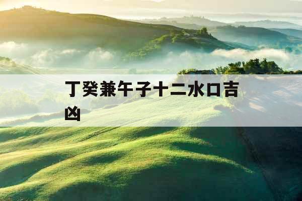 丁癸兼午子十二水口吉凶