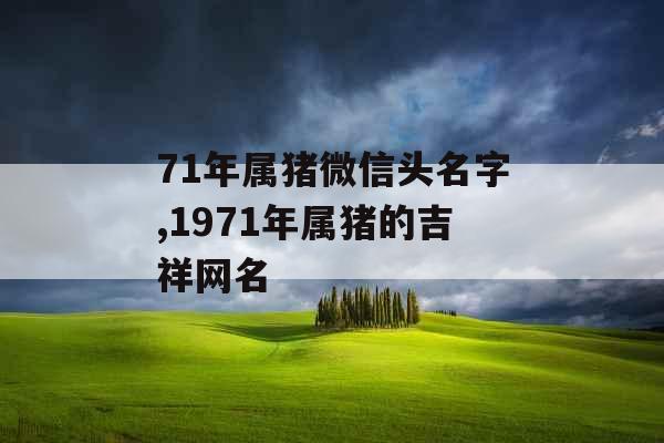 71年属猪微信头名字,1971年属猪的吉祥网名