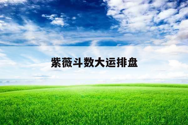 紫薇斗数大运排盘 紫薇斗数大运排盘