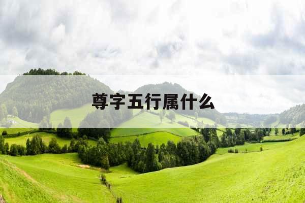 尊字五行属什么