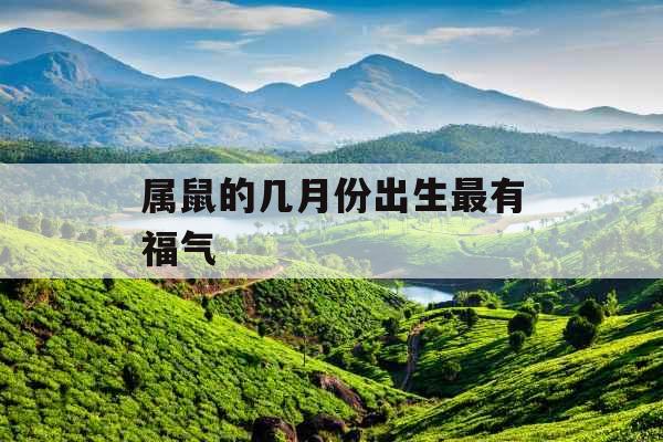 属鼠的几月份出生最有福气