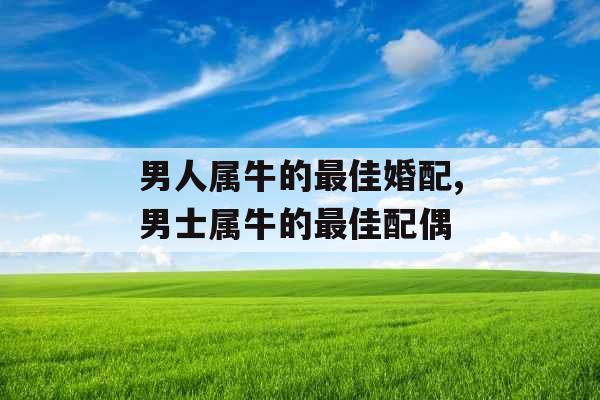 男人属牛的最佳婚配,男士属牛的最佳配偶