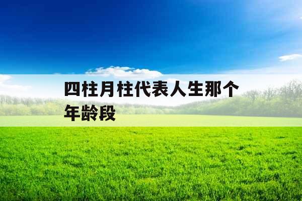 四柱月柱代表人生那个年龄段