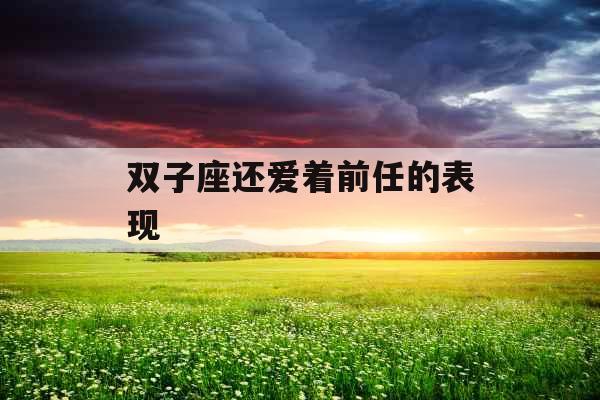双子座还爱着前任的表现