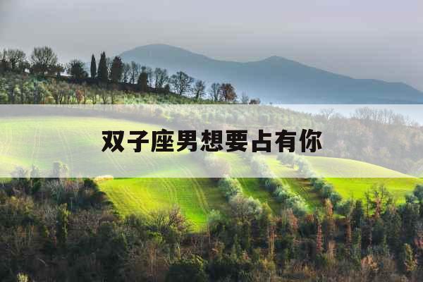 双子座男想要占有你 双子座男想要占有你