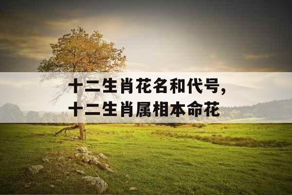 十二生肖花名和代号,十二生肖属相本命花