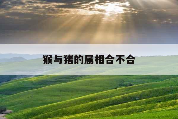 猴与猪的属相合不合