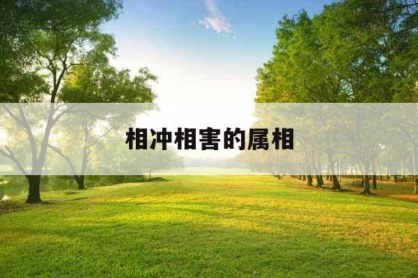 相冲相害的属相