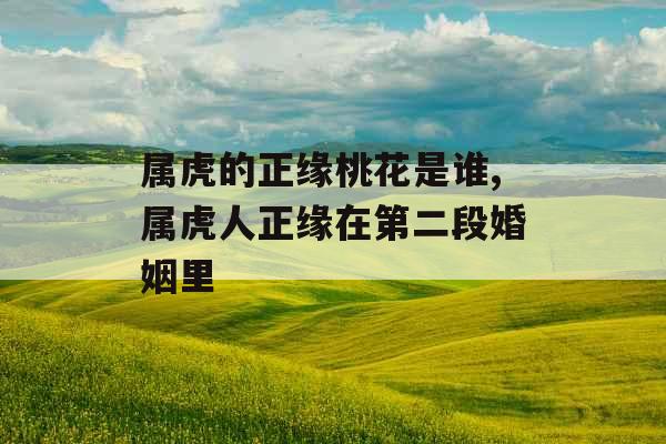 属虎的正缘桃花是谁,属虎人正缘在第二段婚姻里