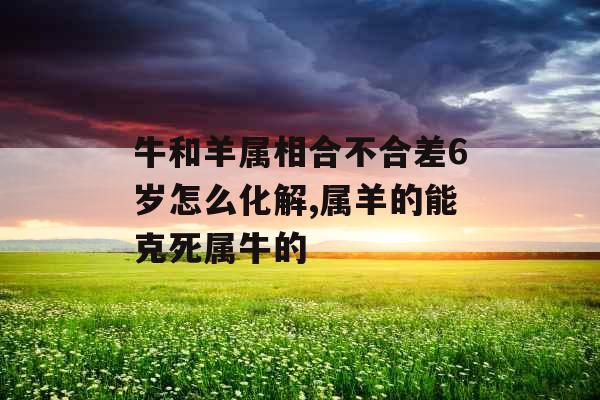 牛和羊属相合不合差6岁怎么化解,属羊的能克死属牛的
