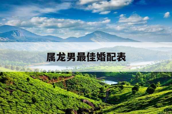 属龙男最佳婚配表