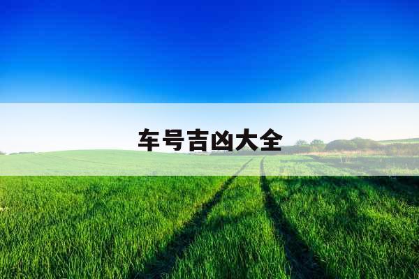 车号吉凶大全