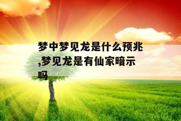 梦中梦见龙是什么预兆,梦见龙是有仙家暗示吗