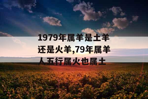 1979年属羊是土羊还是火羊,79年属羊人五行属火也属土