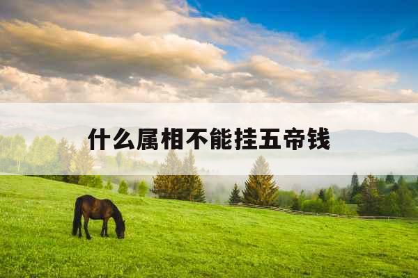 什么属相不能挂五帝钱