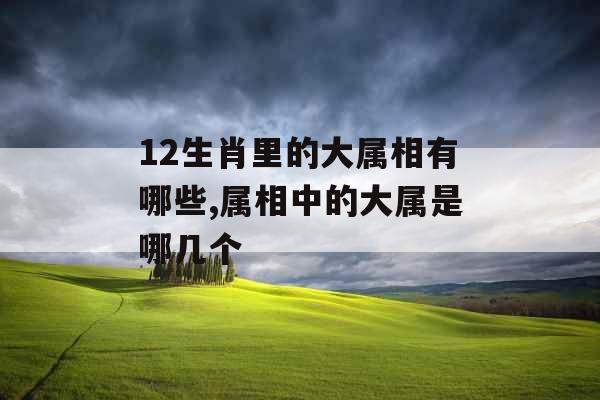12生肖里的大属相有哪些,属相中的大属是哪几个