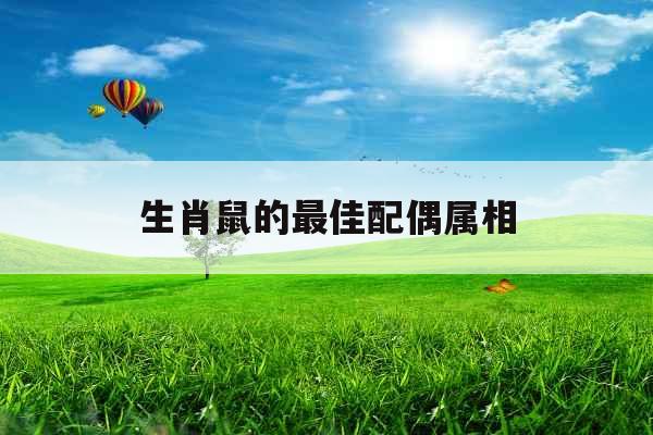 生肖鼠的最佳配偶属相