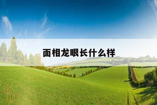面相龙眼长什么样