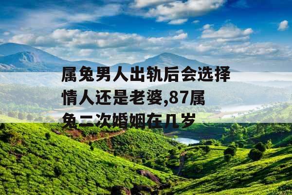属兔男人出轨后会选择情人还是老婆,87属兔二次婚姻在几岁