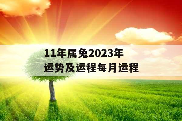 11年属兔2023年运势及运程每月运程