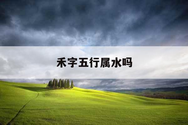 禾字五行属水吗