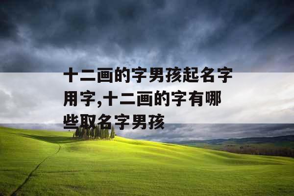 十二画的字男孩起名字用字,十二画的字有哪些取名字男孩