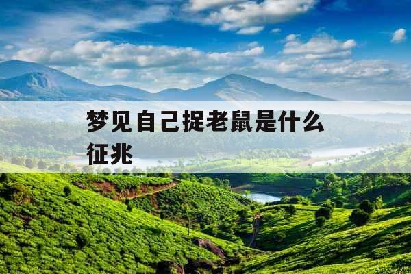 梦见自己捉老鼠是什么征兆 梦见自己捉老鼠是什么征兆