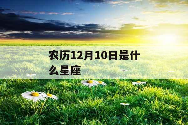 农历12月10日是什么星座