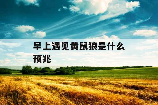 早上遇见黄鼠狼是什么预兆