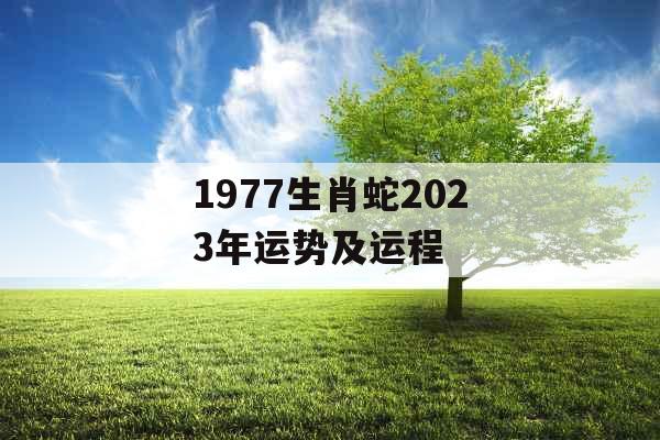 1977生肖蛇2023年运势及运程