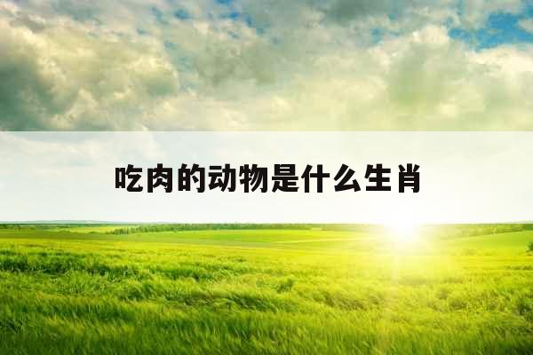 吃肉的动物是什么生肖