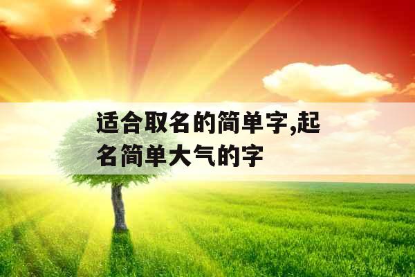 适合取名的简单字,起名简单大气的字