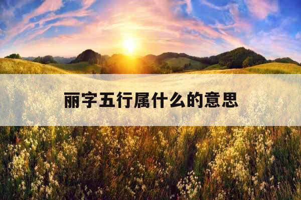 丽字五行属什么的意思