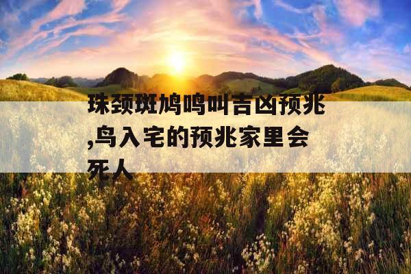 珠颈斑鸠鸣叫吉凶预兆,鸟入宅的预兆家里会死人